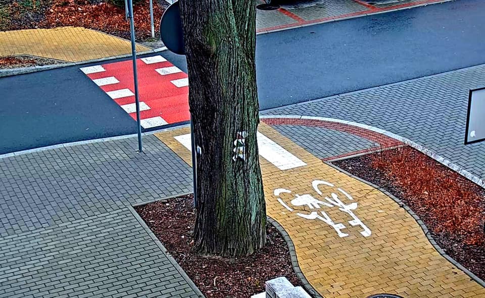 Zakaz obklejania drzew plakatami. Kibice nie wiedzieli?