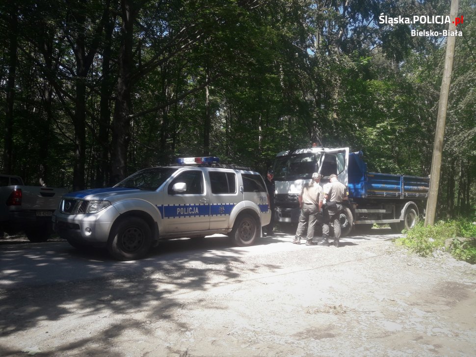 Akcja policji i straży leśnej w górach